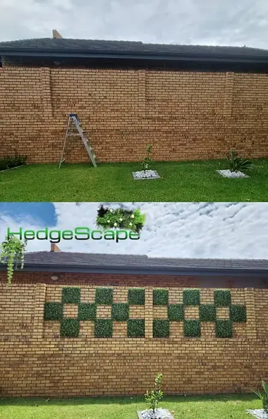 HedgeScape project 8
