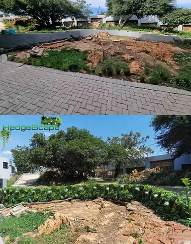 HedgeScape project 7