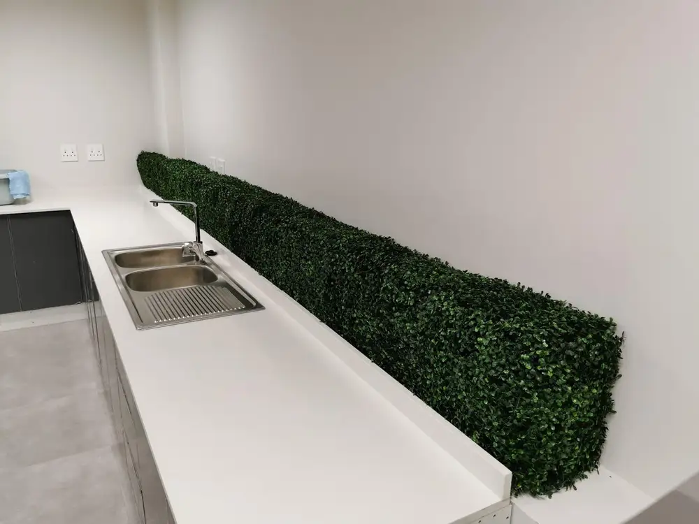HedgeScape uploaded project photo 9